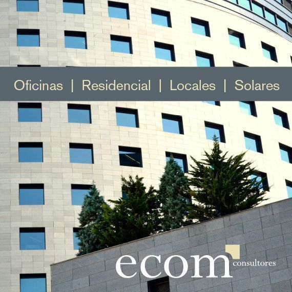Ecomo consultores by Ojo de Pez